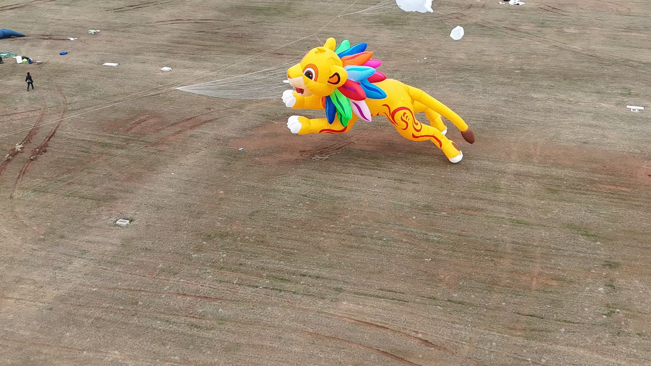 运城市品牌风筝定制软体风筝定制 - 方案